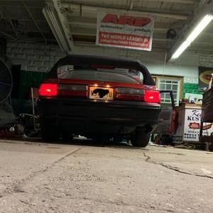 Meet your Posher, Ivan